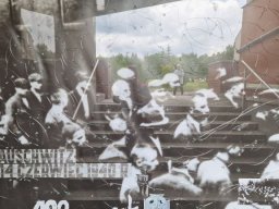 b_1024_768_0_00_images_2022_2023_Cygan_wycieczka_355220451_725094872751797_8010337209384250890_n